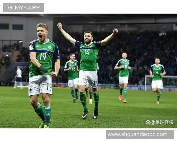 2023年爱尔兰现役足球明星排行榜揭晓谁是最闪耀的球场之星