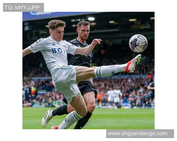 感人至深的外国足球明星故事视频展现他们的奋斗与激情