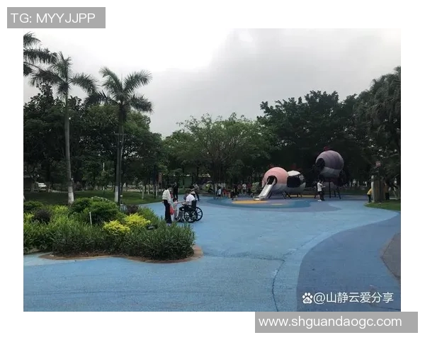 探索红石户外体育主题公园的无限乐趣与激情体验